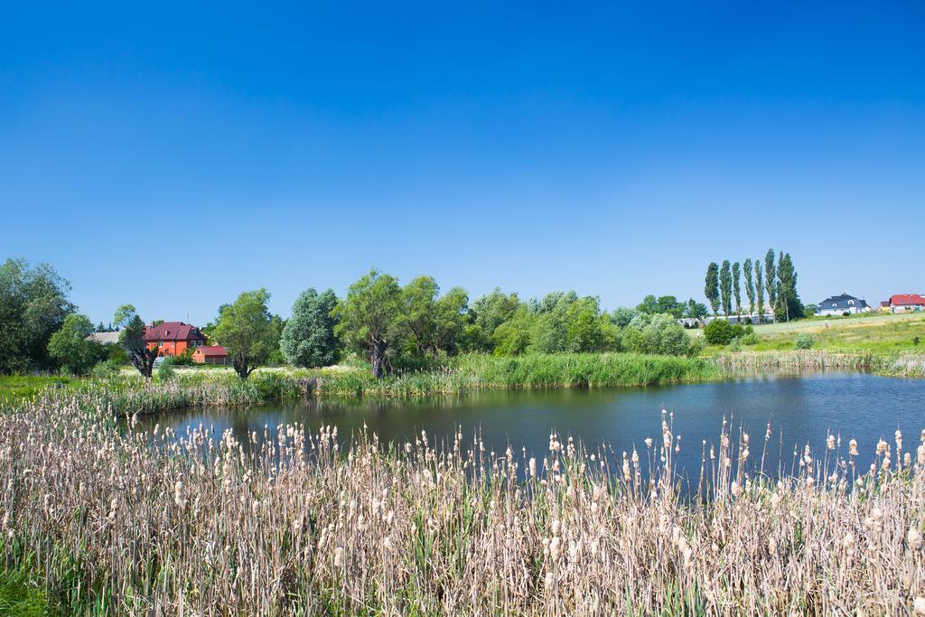 Bed and Breakfast Zloty Staw Borkowo  Экстерьер фото